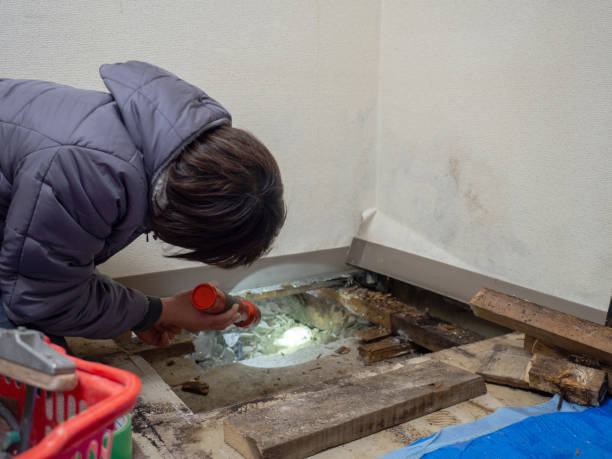 Best Attic Mold Removal  in Silver Lake, NJ