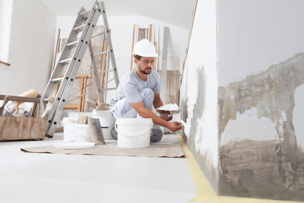 Best Mold Damage Restoration  in Silver Lake, NJ